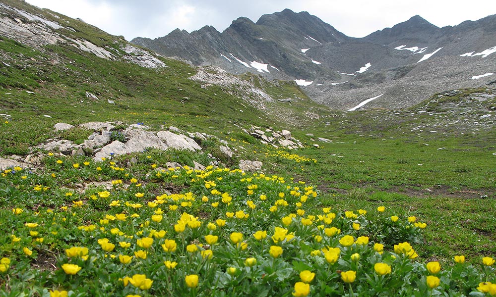 finsterkarspitze